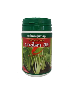 เมล็ดพันธุ์ กวางตุ้งต้น บางไทร35