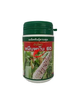 เมล็ดพันธุ์ ข้าวโพดข้าวเหนียว หนึบหนับ60