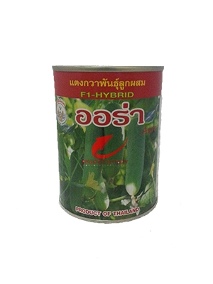 เมล็ดพันธุ์ แตงกวา ออร่า