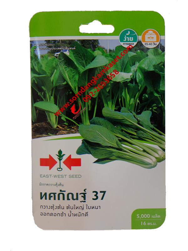 เมล็ดพันธ์ุ ผักกาดกวางตุ้ง ทศกัณฐ์ 37