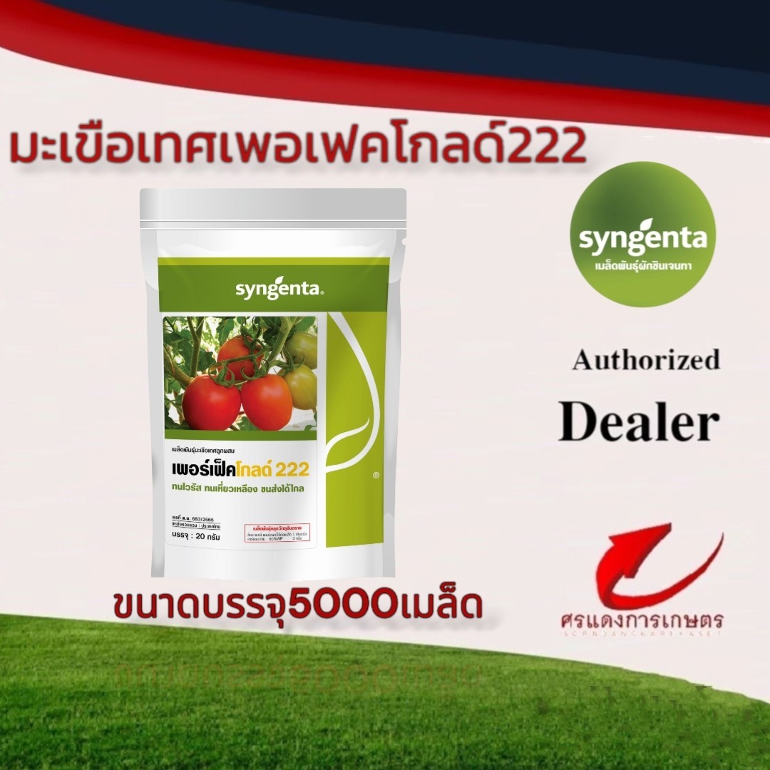 มะเขือเทศเพอร์เฟคโกลด์222