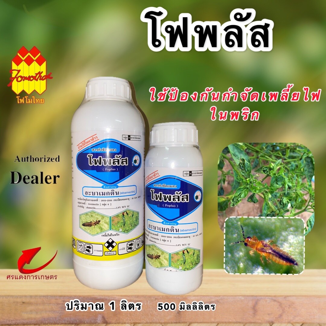 โฟพลัส (FOPLUS)